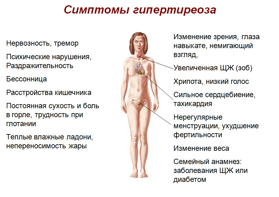 щитовидная железа узлы размеры норма